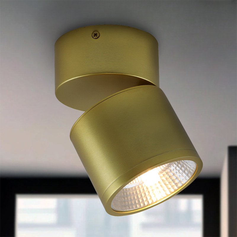 Faretto da soffitto in ottone moderno, Thomas