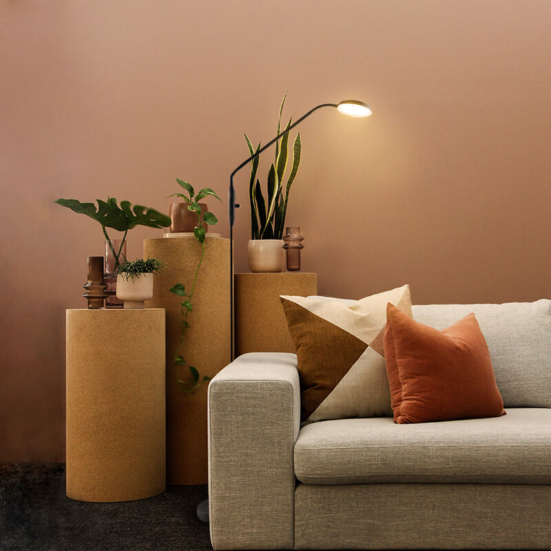 Piantana da lettura da terra nera moderna, Salvador, 5W, 3000K LED, con interruttore