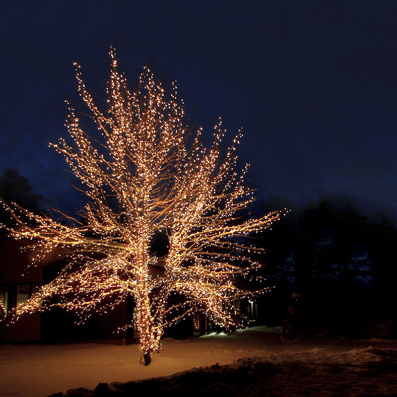 Illuminazione ad albero collegabile nera da 20 m, 10 LED p/metro, IP67 - Bianco caldo