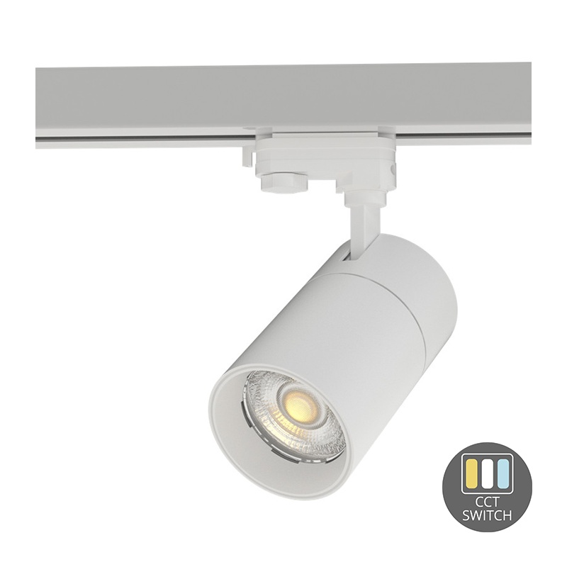 Faretto trifase bianco Rozina, 20W, interruttore bianco, dimmerabile, Pro