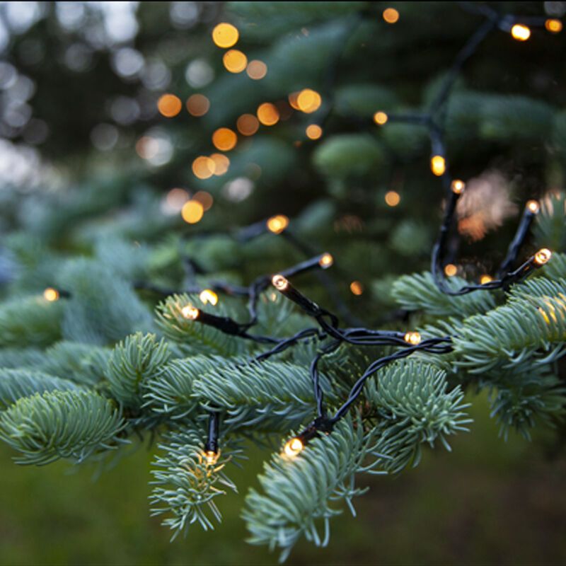 Luci di Natale a LED da 7,2 m a batteria, 96 lampade, Indoor e Outdoor Luci di Natale a LED da 7,2 m a batteria, 96 lampade, Indoor e Outdoor