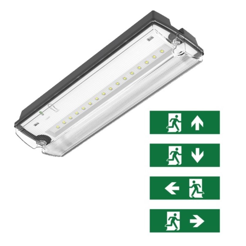 Illuminazione di emergenza nera incl. pittogrammi, Pedram, 3W, LED 6500K, IP66 Illuminazione di emergenza nera incl. pittogrammi, Pedram, 3W, LED 6500K, IP66