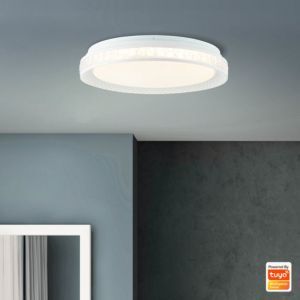 Plafoniera smart trasparente moderna, Rashmi, 24W, bianco regolabile tra caldo e freddo LED