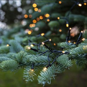 Luci di Natale a LED da 1,8 m a batteria, 24 lampade, Indoor e Outdoor