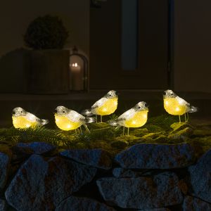 5 cince maggiori LED, per interni ed esterni