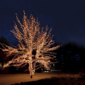 Illuminazione ad albero collegabile nera da 20 m, 10 LED p/metro, IP67 - Bianco caldo