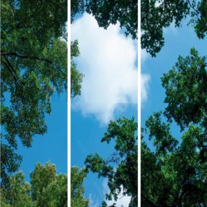 Stampa fotografica nuvola con foresta - set di 3 lastre acriliche con stampa, per pannelli LED 120x60 cm