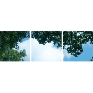 Stampa fotografica nuvola con foresta - set di 3 lastre acriliche con stampa, per pannelli LED 60x60 cm