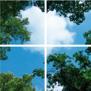 Stampa fotografica nuvola con foresta - set di 4 lastre acriliche con stampa, per pannelli LED 60x60 cm