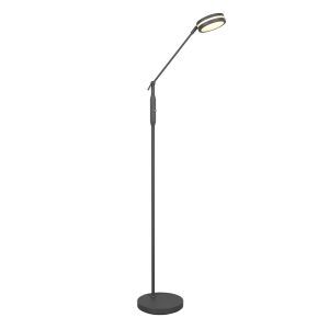 Piantana da lettura da terra moderna antracite, Marjon, 6W, bianco regolabile tra caldo e freddo LED, controllo touch