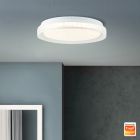 Plafoniera smart trasparente moderna, Rashmi, 24W, bianco regolabile tra caldo e freddo LED