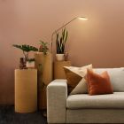 Piantana da lettura da terra in ottone moderna, Salvador, 5W, 3000K LED, con interruttore