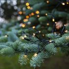 Luci di Natale a LED da 1,8 m a batteria, 24 lampade, Indoor e Outdoor