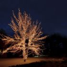 Illuminazione ad albero collegabile nera da 40 m, 10 LED p/metro, IP67 - Bianco caldo
