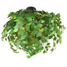 Plafoniera design verde, Urwa