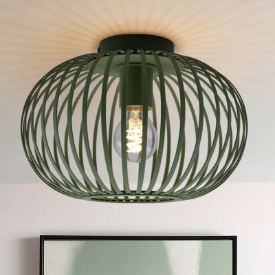 Plafoniera verde industriale, Lieve