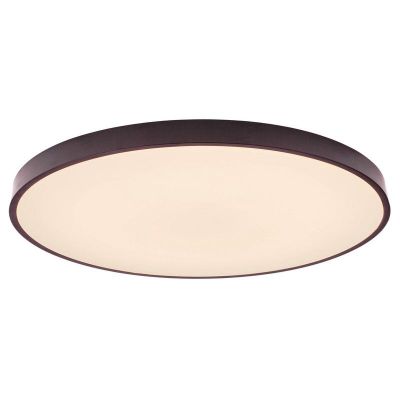 Lampada da soffitto nera industriale, Lena, 80W, bianco regolabile tra caldo e freddo LED, con telecomando