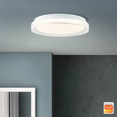 Plafoniera smart trasparente moderna, Rashmi, 24W, bianco regolabile tra caldo e freddo LED