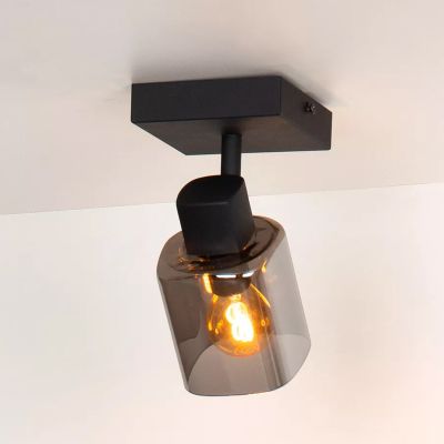 Faretto da soffitto classico grigio, Alion