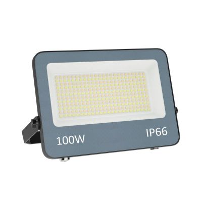 Riflettore grigio in alluminio, Ilay, 100W, white switch LED, IP66