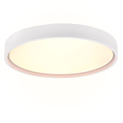 Plafoniera moderna bianca, Destin, 29W, bianco regolabile tra caldo e freddo LED
