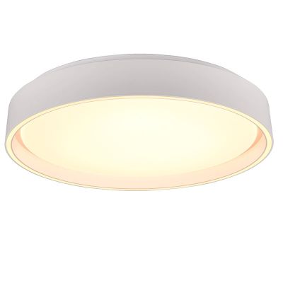 Plafoniera bianca in plastica, Deon, 24W, bianco regolabile tra caldo e freddo LED