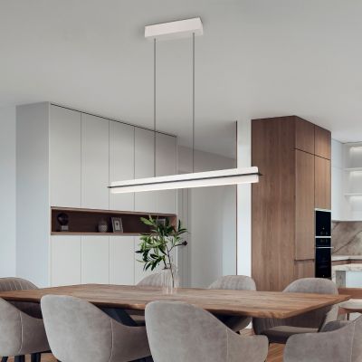 Lampada a sospensione moderna grigia, Joek, 22W, bianco regolabile tra caldo e freddo LED, dimmer in 3 fasi