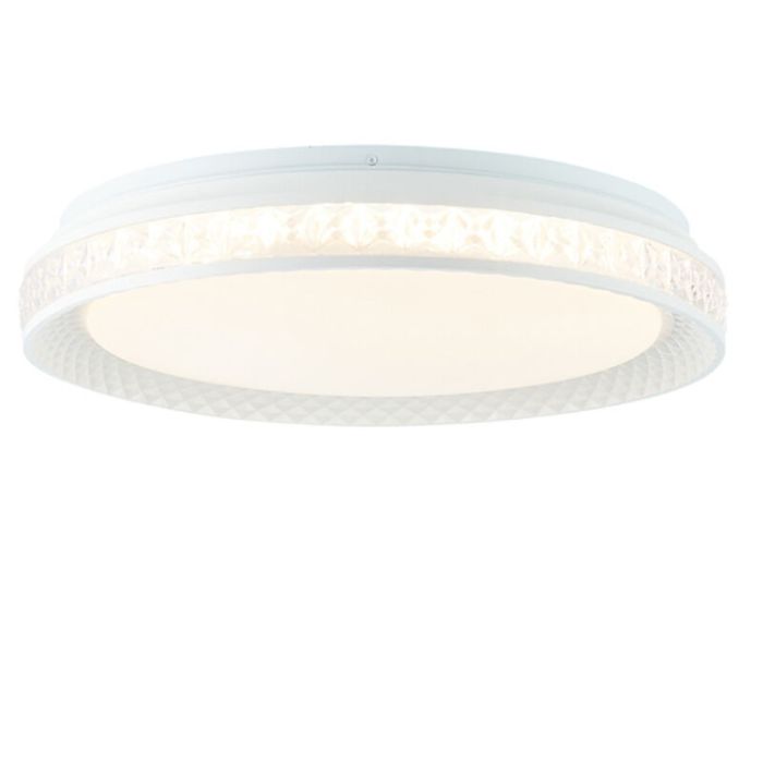 Plafoniera smart trasparente moderna, Rashmi, 24W, bianco regolabile tra caldo e freddo LED