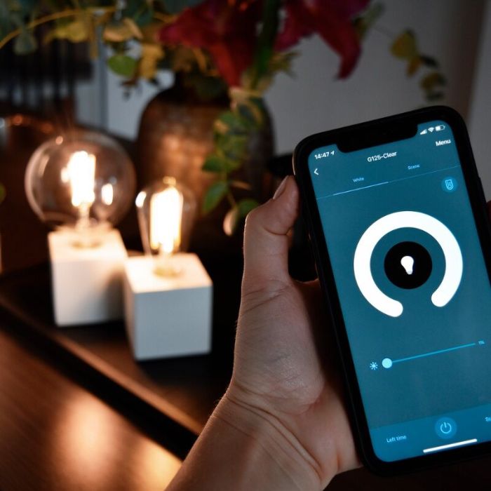 Calex lampadina LED smart E27 grigio, 7W, 1800K