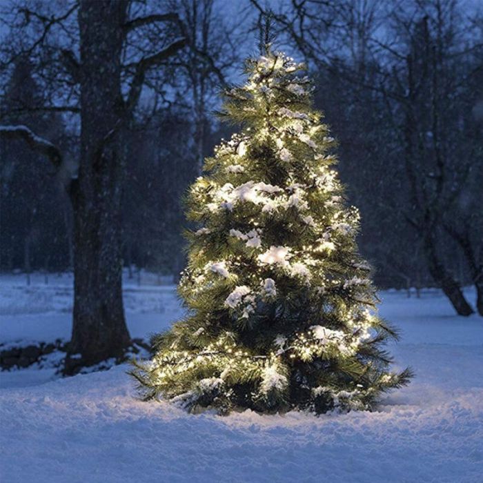 5,6 metri illuminazione a grappolo intelligente, 768 LED bianchi caldi, app