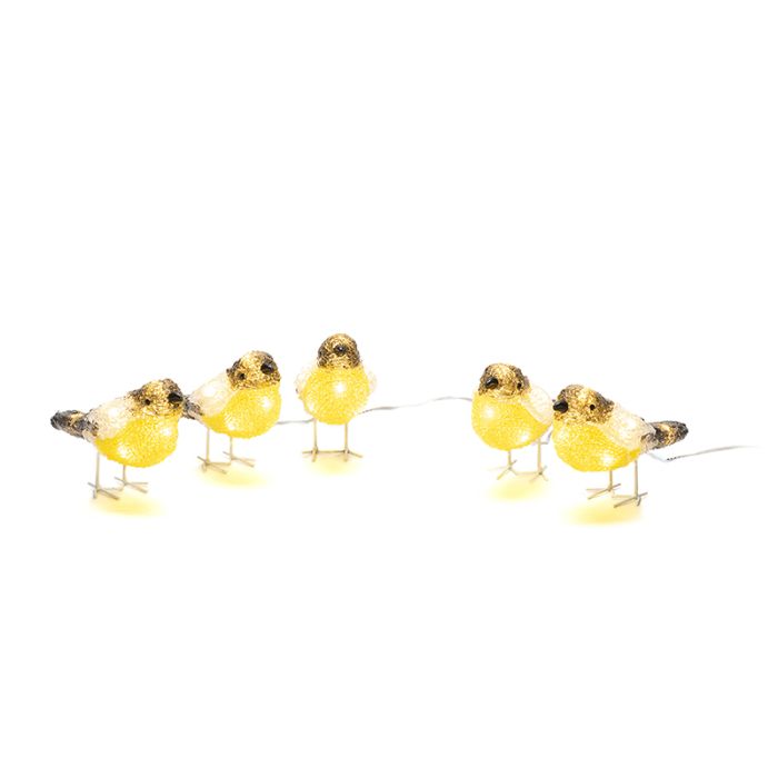 5 cince maggiori LED, per interni ed esterni