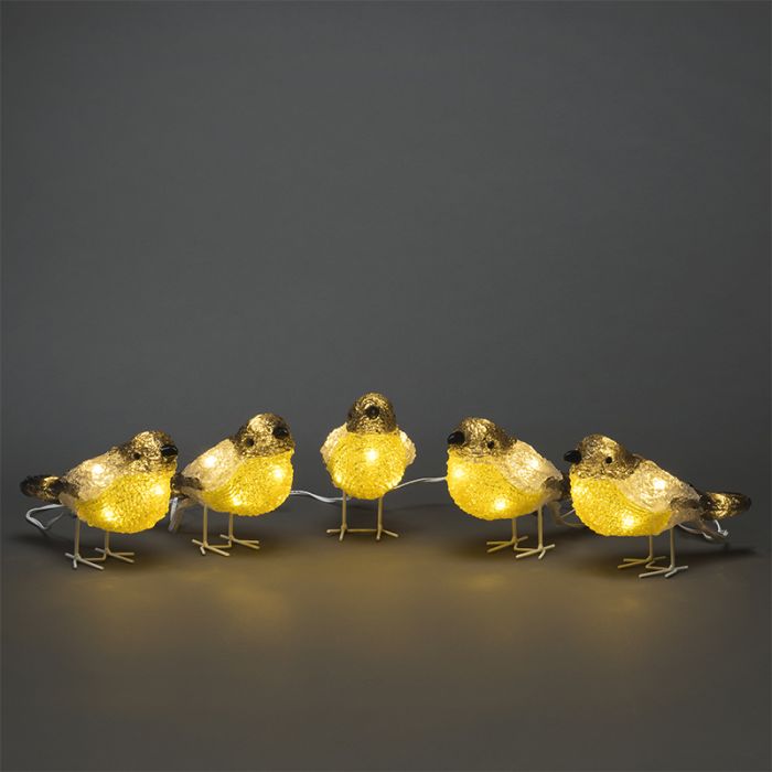 5 cince maggiori LED, per interni ed esterni