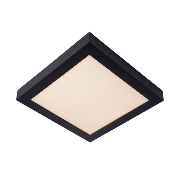 Plafoniera moderna nera, Brice, 30W, 3000K LED, IP44