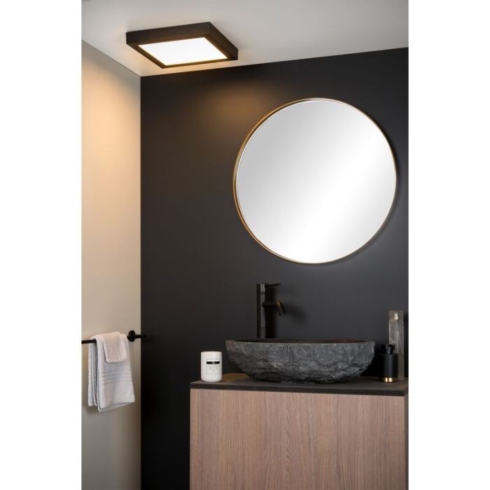 Plafoniera moderna nera, Brice, 30W, 3000K LED, IP44