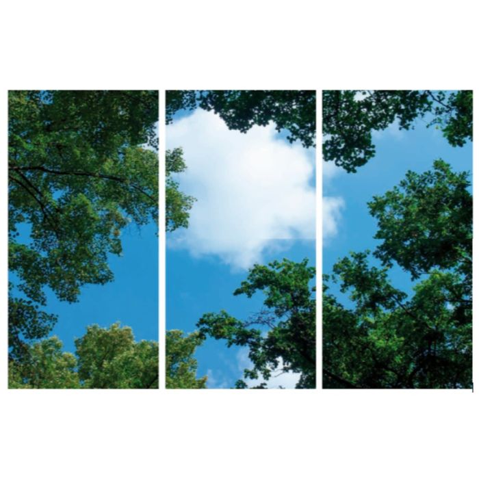 Stampa fotografica nuvola con foresta - set di 3 lastre acriliche con stampa, per pannelli LED 120x60 cm
